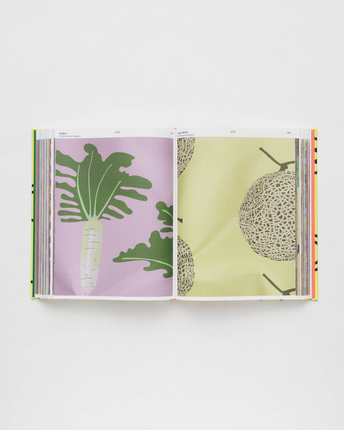 HOLD EVERYTHING: 15 YEARS OF BAGGU - US 6012