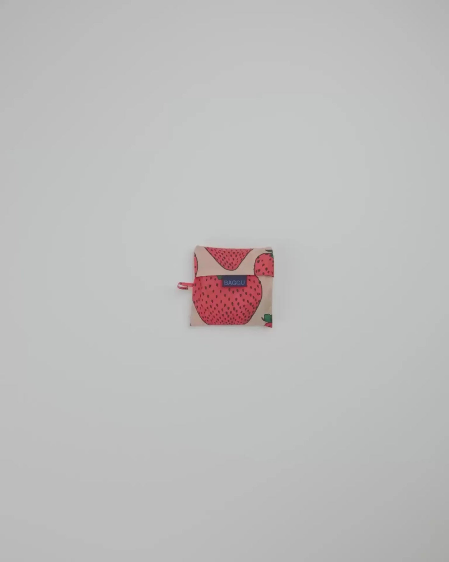 STANDARD BAGGU - US 2463